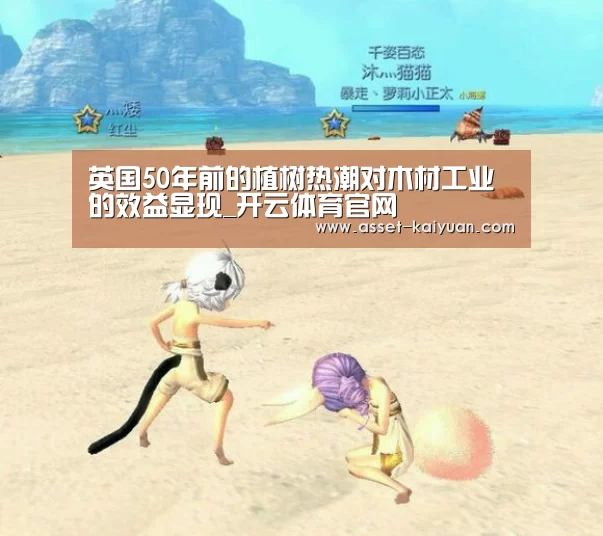 开云体育官网