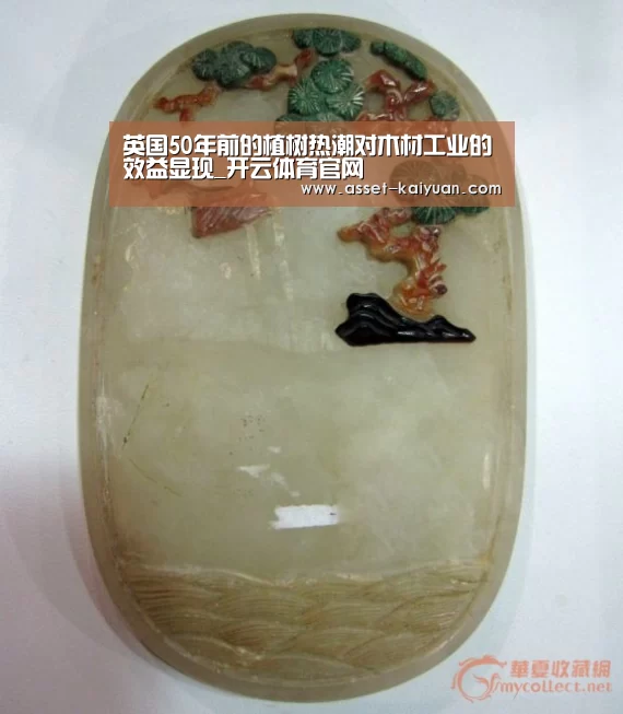 开元体育
