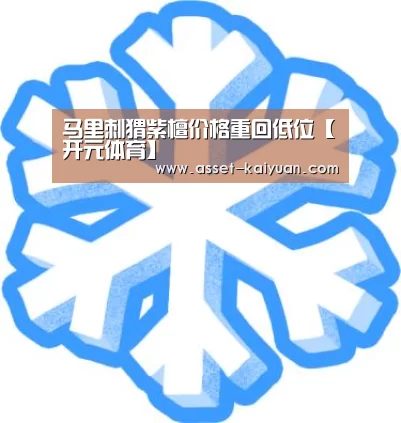 开云体育网站