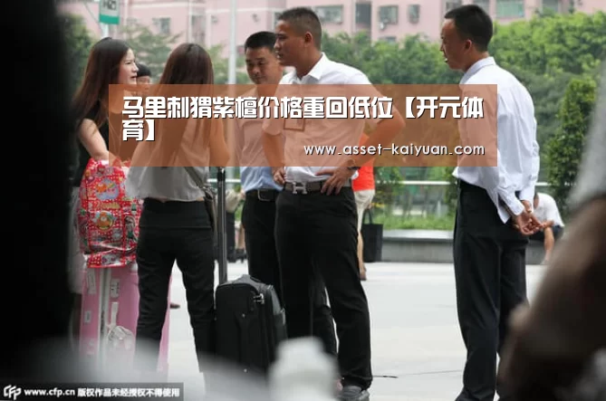 开云体育官网